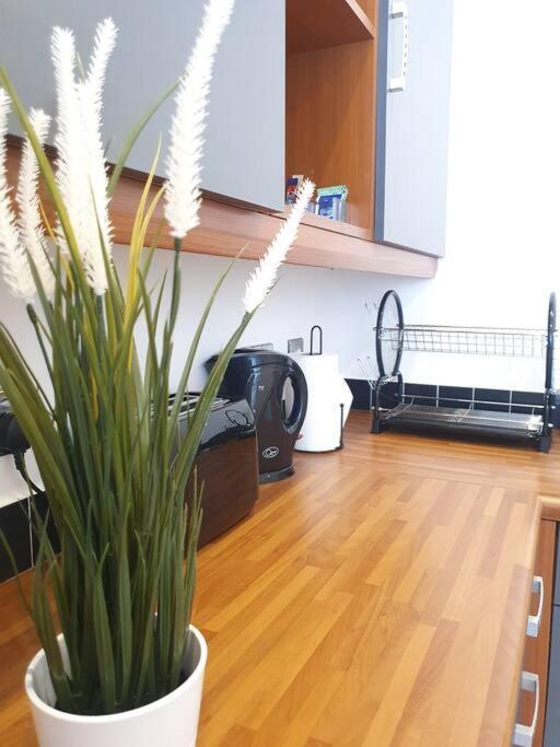 Contemporary Modern Studio Apartment - City Centre Birmingham Buitenkant foto